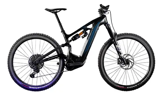 Bianchi e Vertic 2025