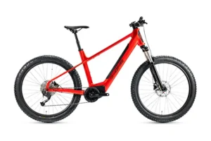 VTTAE Gitane G-One Redwood 1.1 – 630 Wh