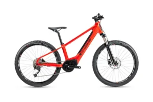 VTTAE Gitane G-One Redwood Junior – 504 Wh